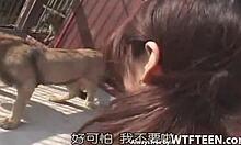 Man, I can’t even explain outdoor bangin’ with my Asian ex-girlfriend in doggy! Gotta see this on WTFteen 18+ com.