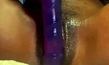 Big Fat Jamaican Pussy Playing with a Huge Dildo Solo