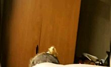 Pussy and Asshole Shaved Teaser Shows Off Big Tits and Fat Ass. She Tempts a Monster Black Cock in Wild Interracial Action.