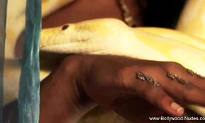 Beautiful Indian Dance Evokes Arousing Emotions