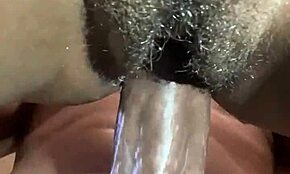 Ebony Breeding with Monster Black Cock in Wild Action