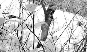 Nina Rivera Deepthroats Don Whoe In Snowy Fun