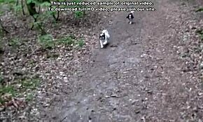 Cunt getting ready for an outdoor amateur porno in the forest