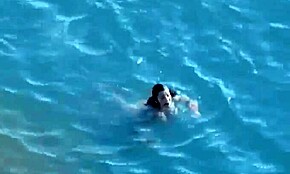 Crazy Hot Foreplay With Big-Breasted Nudist Mommy