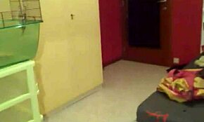 Gaymp4 Com - Gay Amateur Videos Compilation With Blowjob And Swallowing Scenes