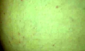 Amateur wife squirting in homemade video