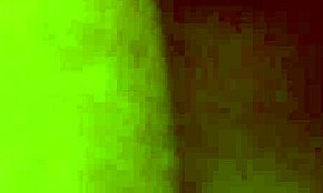 amazing brunette slut ariel has sex in the shower with her neighbor 😍