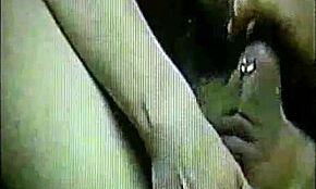 Discover how I trained my dizzy blonde daughter with toys and more...