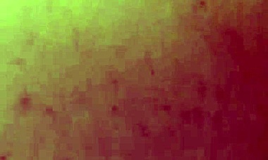 tsbxoda gets deep throated by brandytopshelf's huge bwc